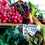 Durham Farmer's Market