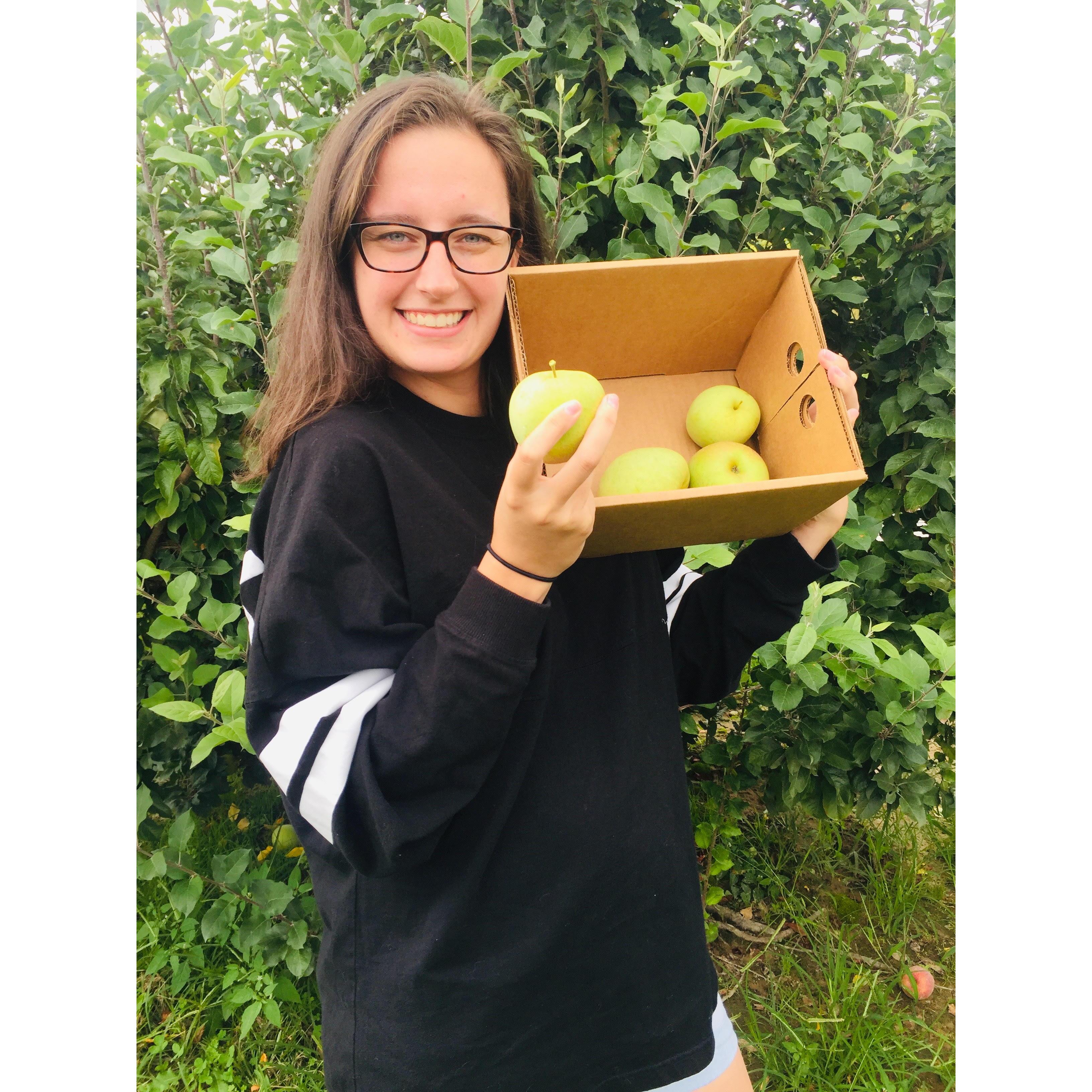 LOOK AT MY APPLES PART 2!