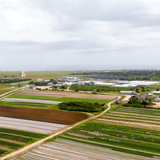 Bartlett's Farm