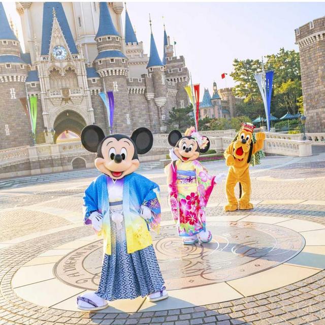 Tokyo Disney Park Ticket