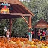 Copper Creek Farm