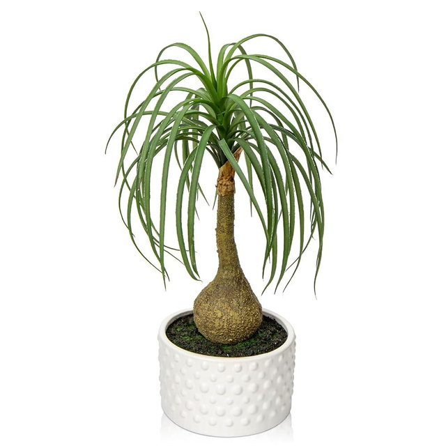Hollyone Fake Plants Artificial Potted Plants Artificial Ponytail Palm Plant in Pots Faux Bonsai Plants for Office Table Desk Shelf Bathroom Bedroom Greenery Decoration Room Indoor Home Decor