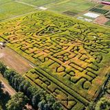 Chatfield Farms Corn Maze & Pumpkin Patch