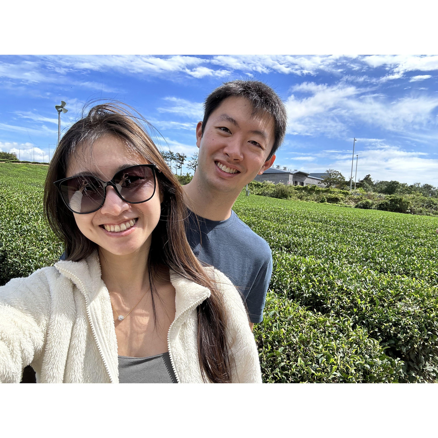 October 2022, Osulloc Team Farm, Jeju - Some of the best tea we've ever had. 10.5/10 would recommend.