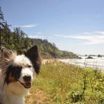 Ecola State Park