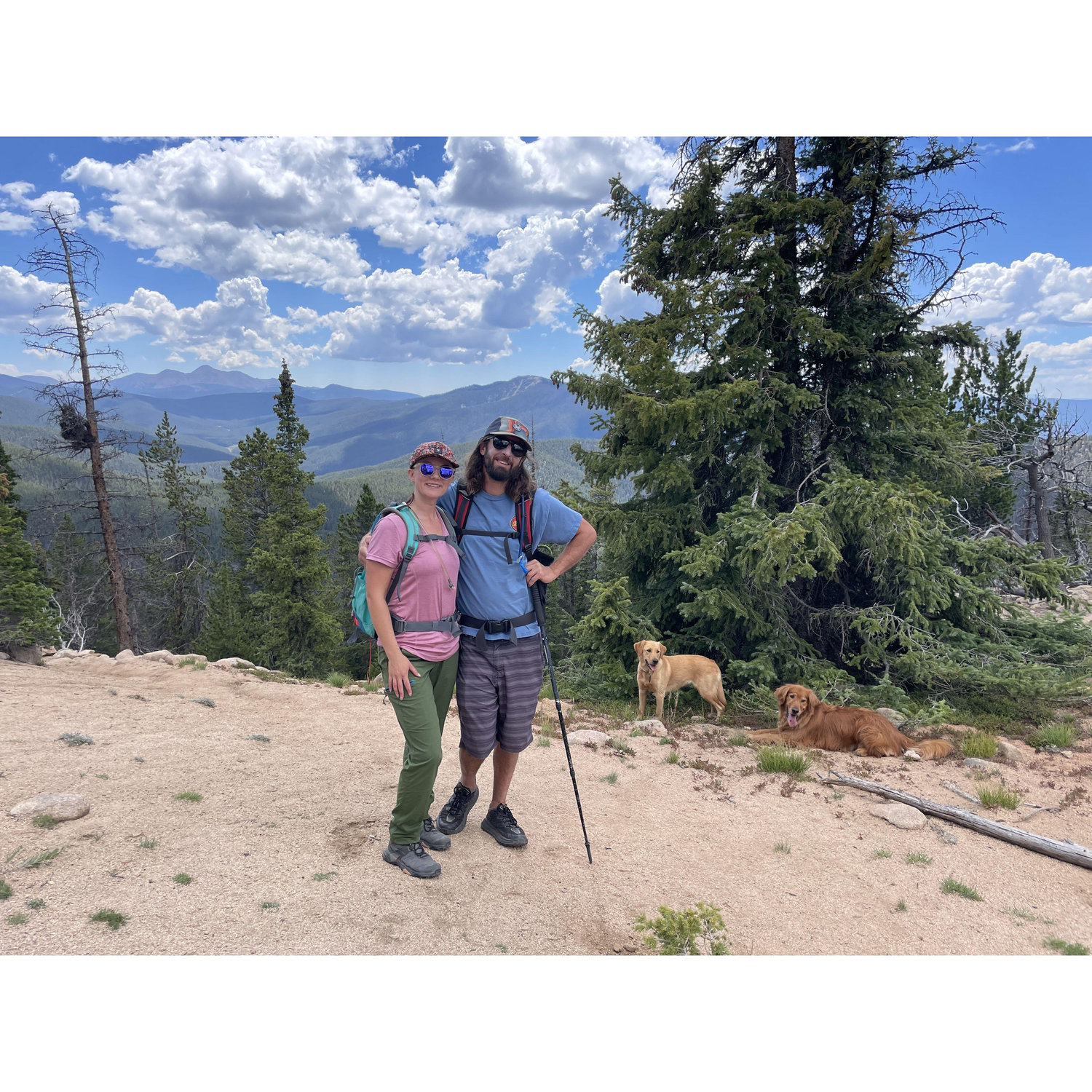Hiking with our fur children