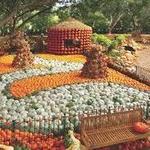 The Dallas Arboretum and Botanical Garden