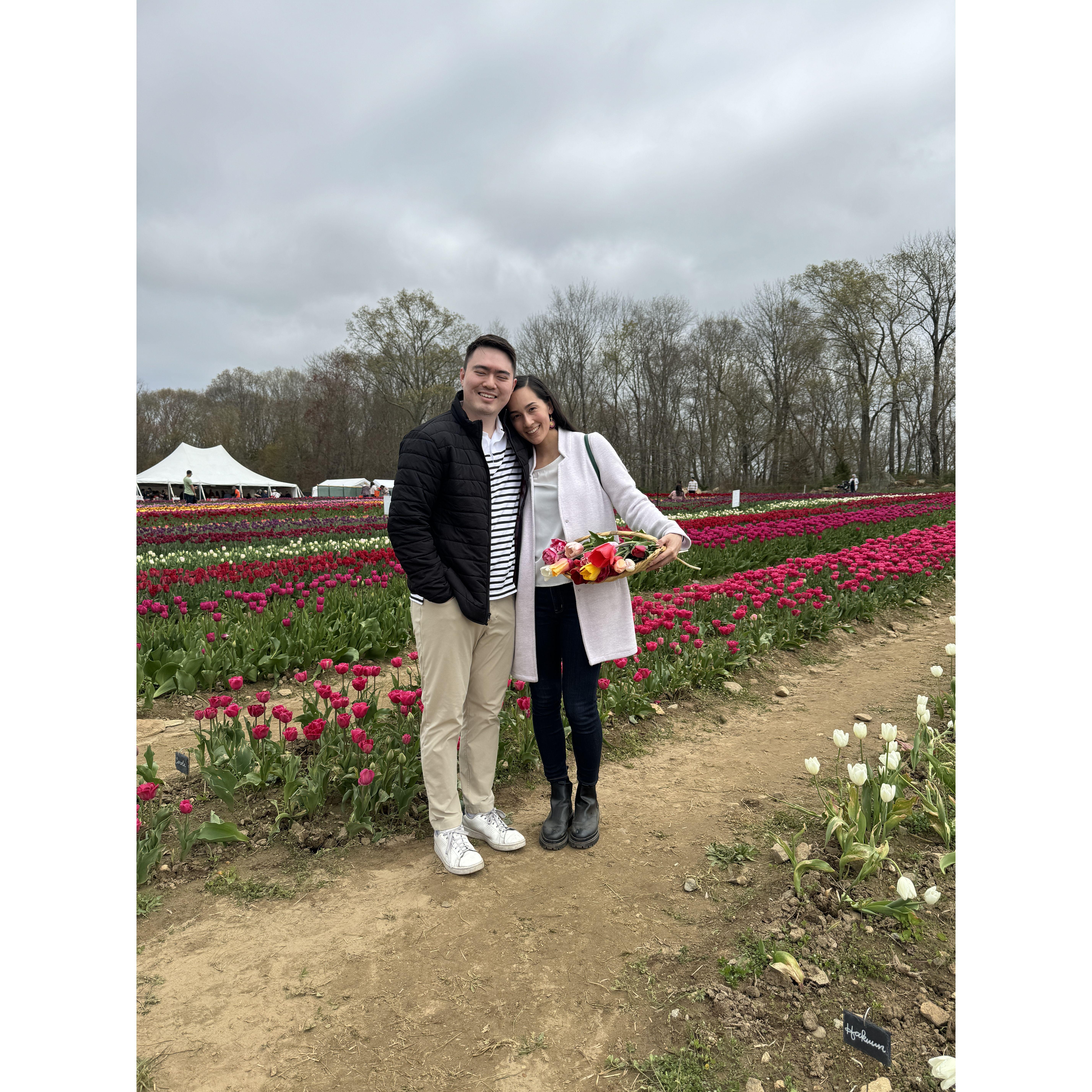 Sometimes Thomas takes Jacqueline to pick her own tulips just to mix things up from all the other bouquets he regularly brings her