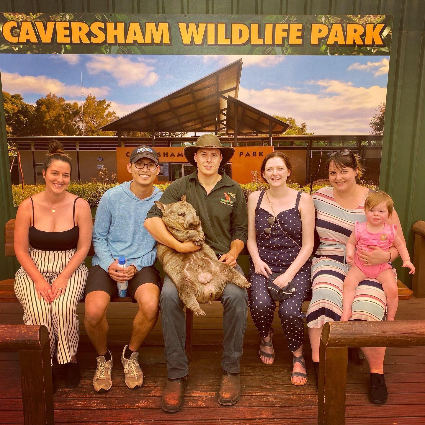 We also met Neil the wombat.