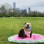 Zilker Metropolitan Park
