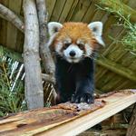 Utah's Hogle Zoo