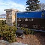Nut Island