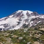 Mount Rainier National Park