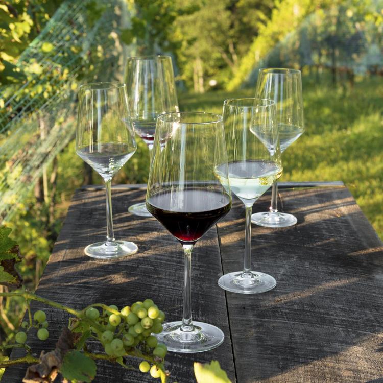 Zwiesel Glas, Puro Bordeaux Wine Glass, Set of 6 | Zola