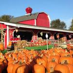 Virginia Farm Market LLC