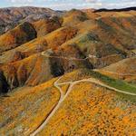 Walker Canyon Trailhead