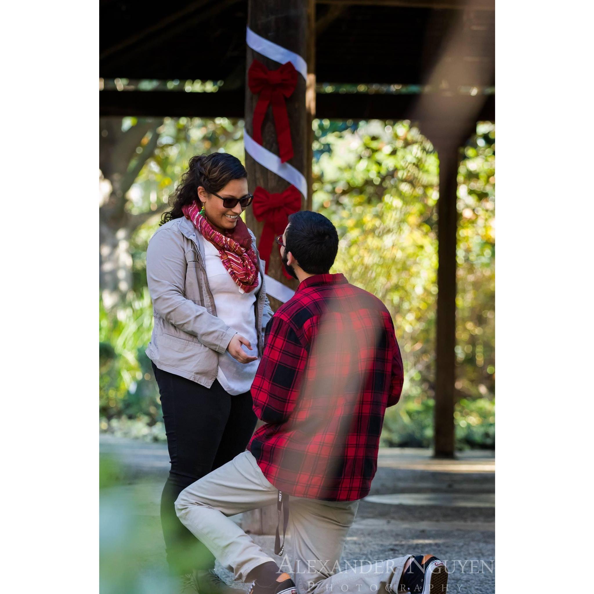 The proposal