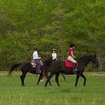 Horseback Riding