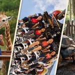 Busch Gardens Tampa Bay