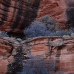 Hanging Gardens Trail