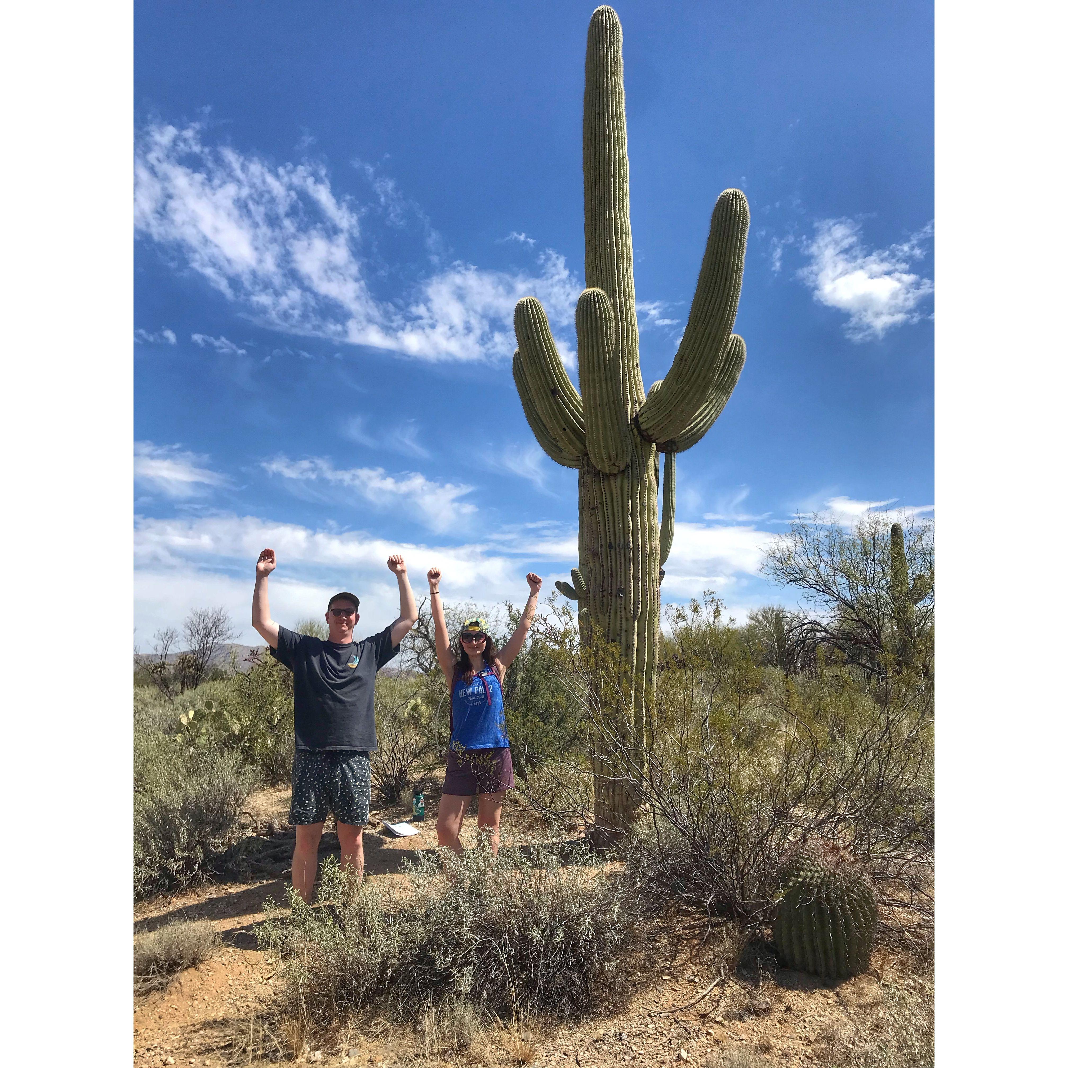 Saguaro National Park