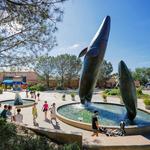 Birch Aquarium