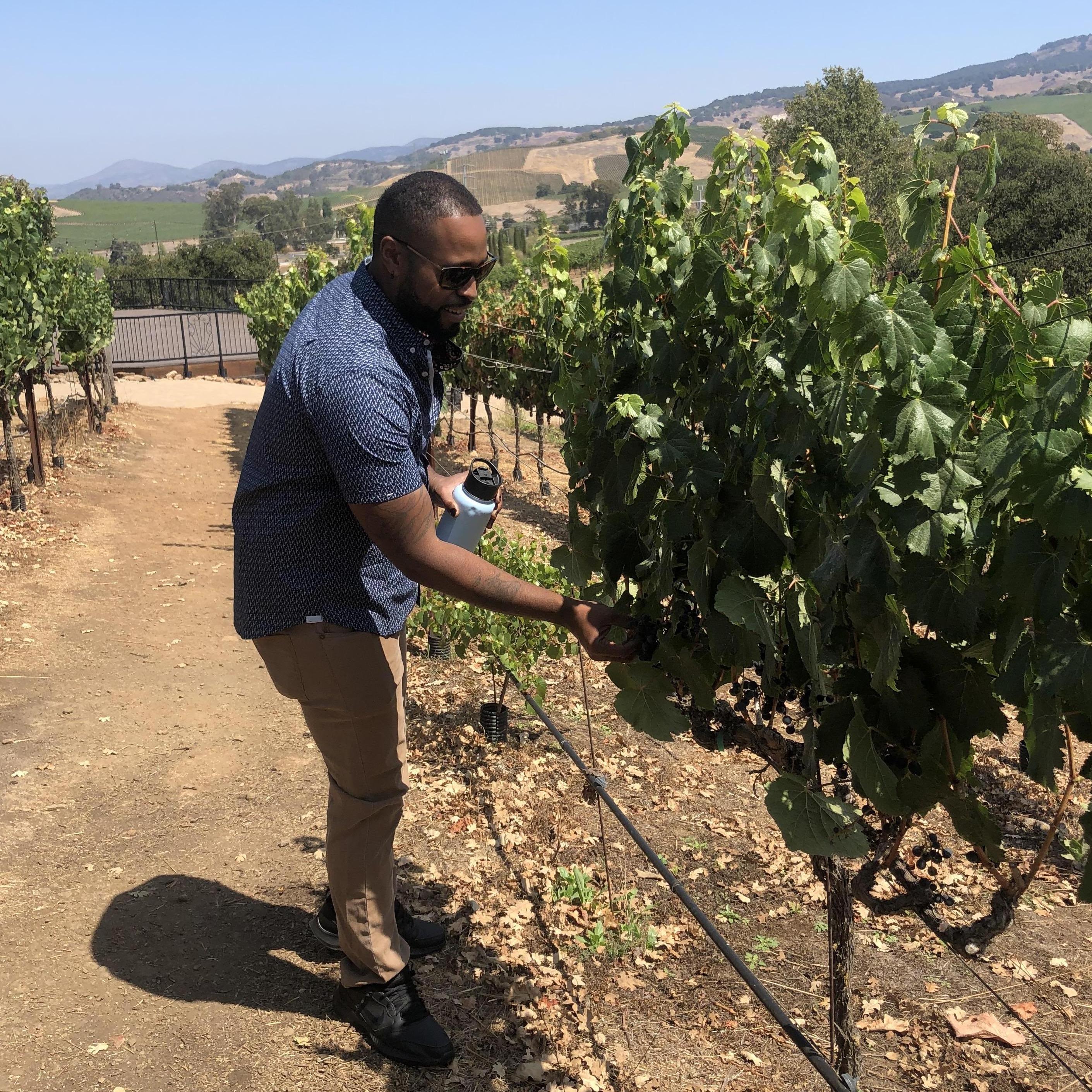 Napa