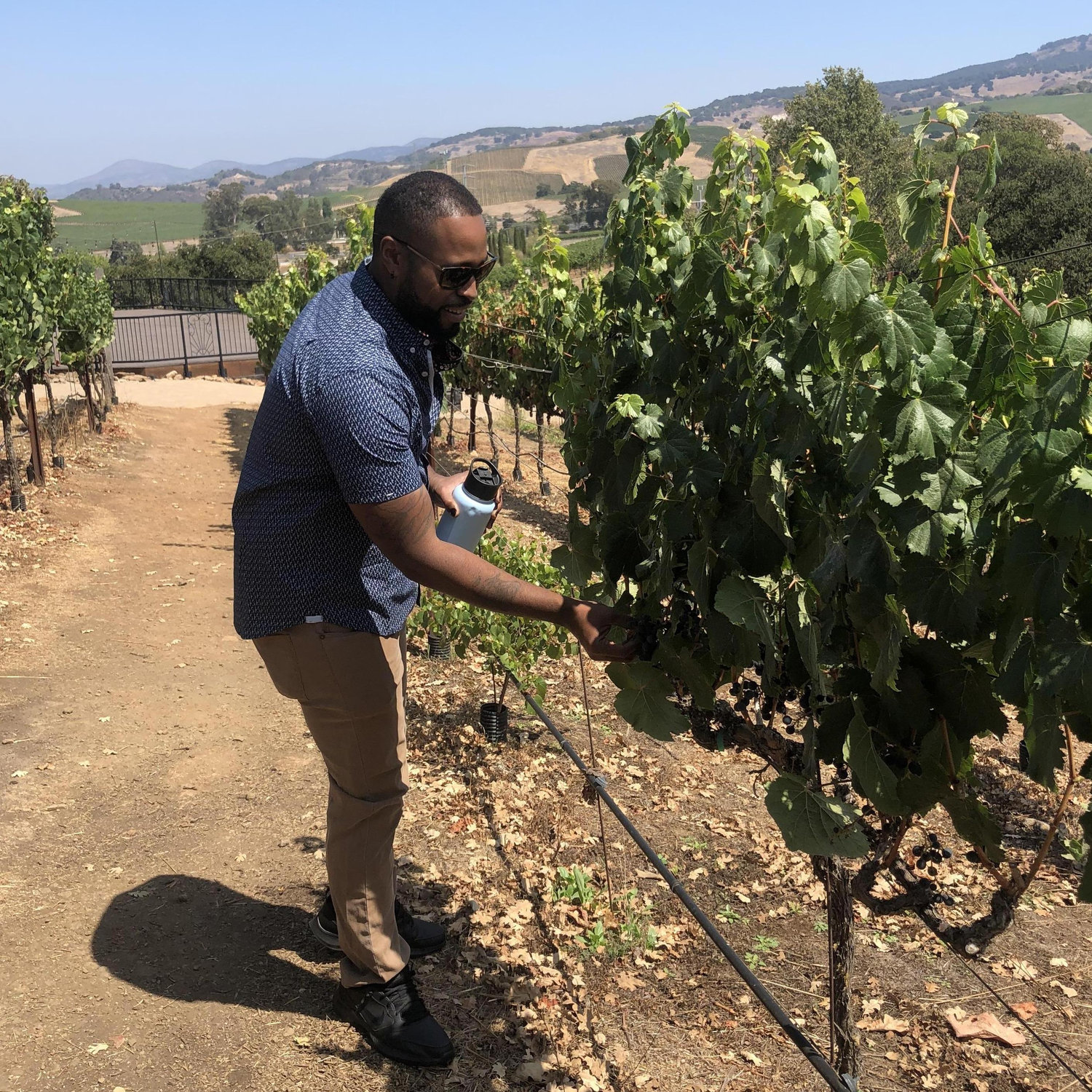 Napa