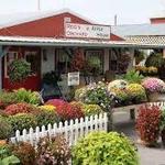 Reid's Orchard