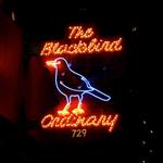 Blackbird Ordinary