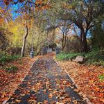 Bob Jones Trail Head