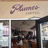 Plumes Coffee & Tea