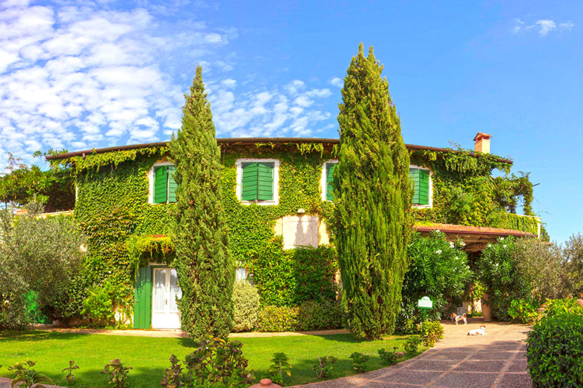 The Wedding Website of Daniela Agostini Ferrante and Rick Ferrante