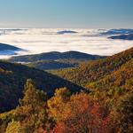 Shenandoah National Park