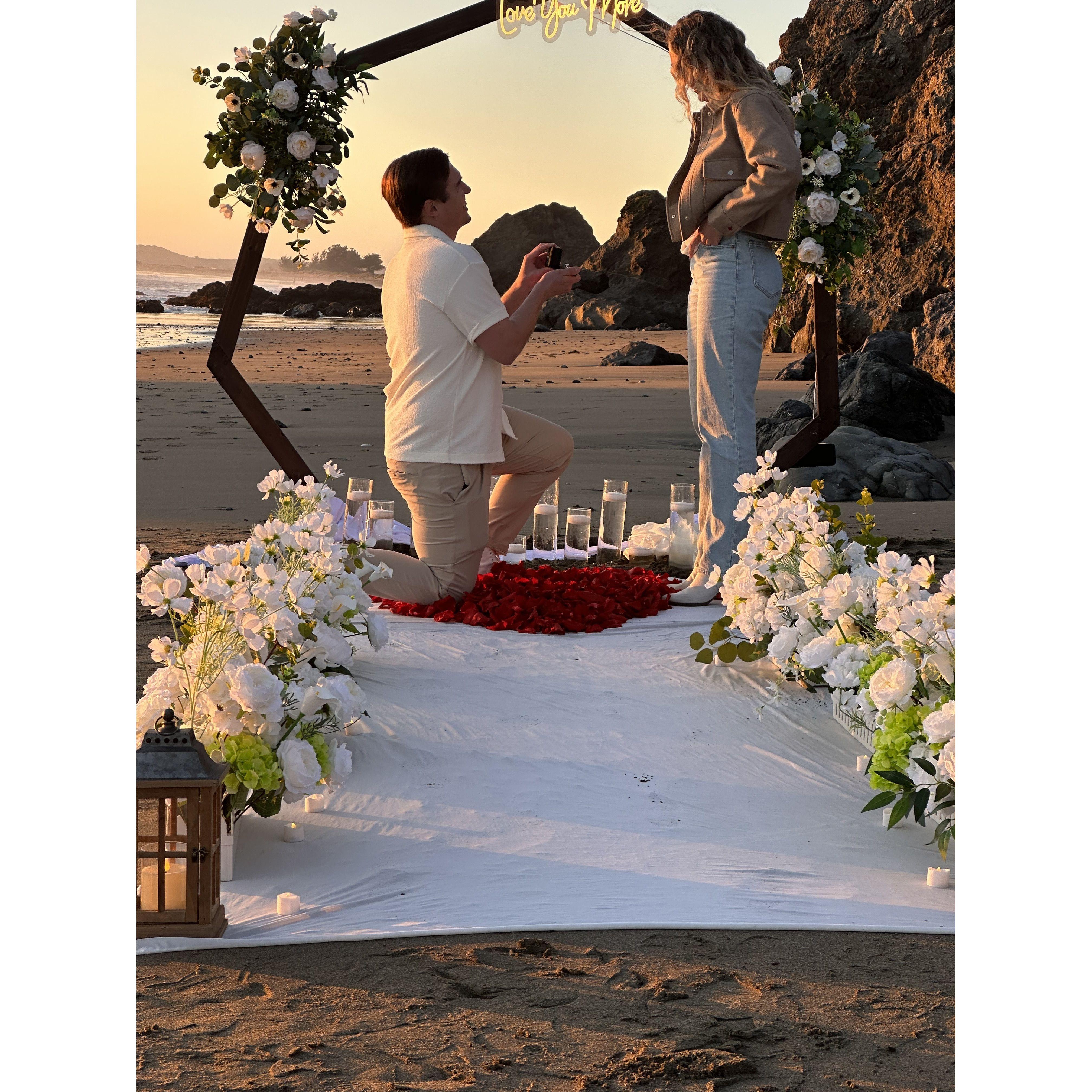 The proposal at Bodega Bay, November 15th, 2025