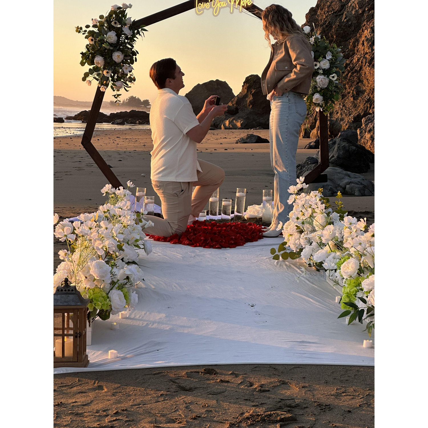 The proposal at Bodega Bay, November 15th, 2025