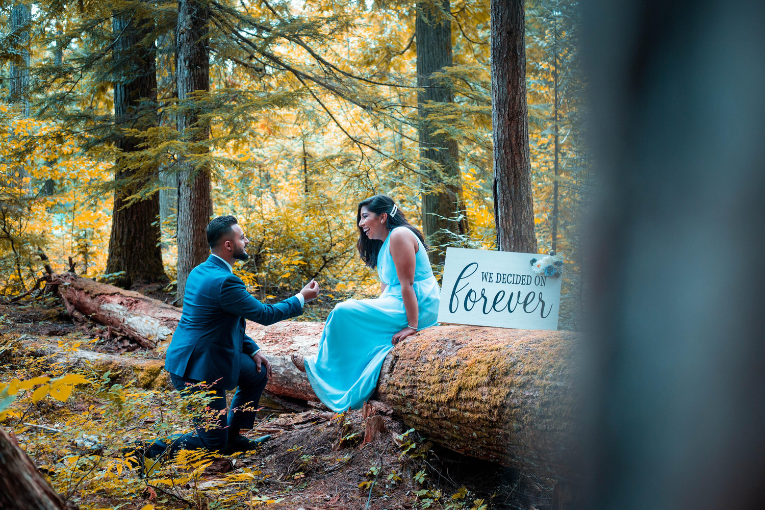 The Wedding Website of Nuram Remtulla and Afsheen Harjee