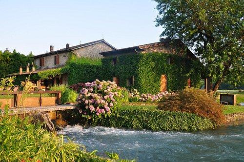 The Wedding Website of Olga Fedele and Albus Siringo