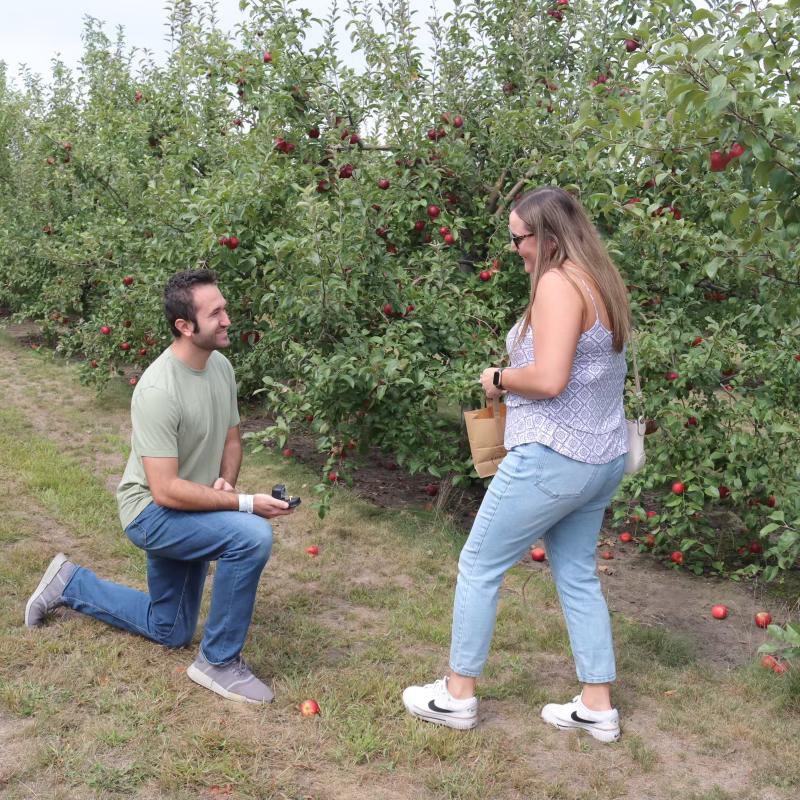 The proposal at Fair Oaks Farm: September 16, 2023