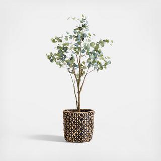 Faux Silver Dollar 6' Eucalyptus Tree