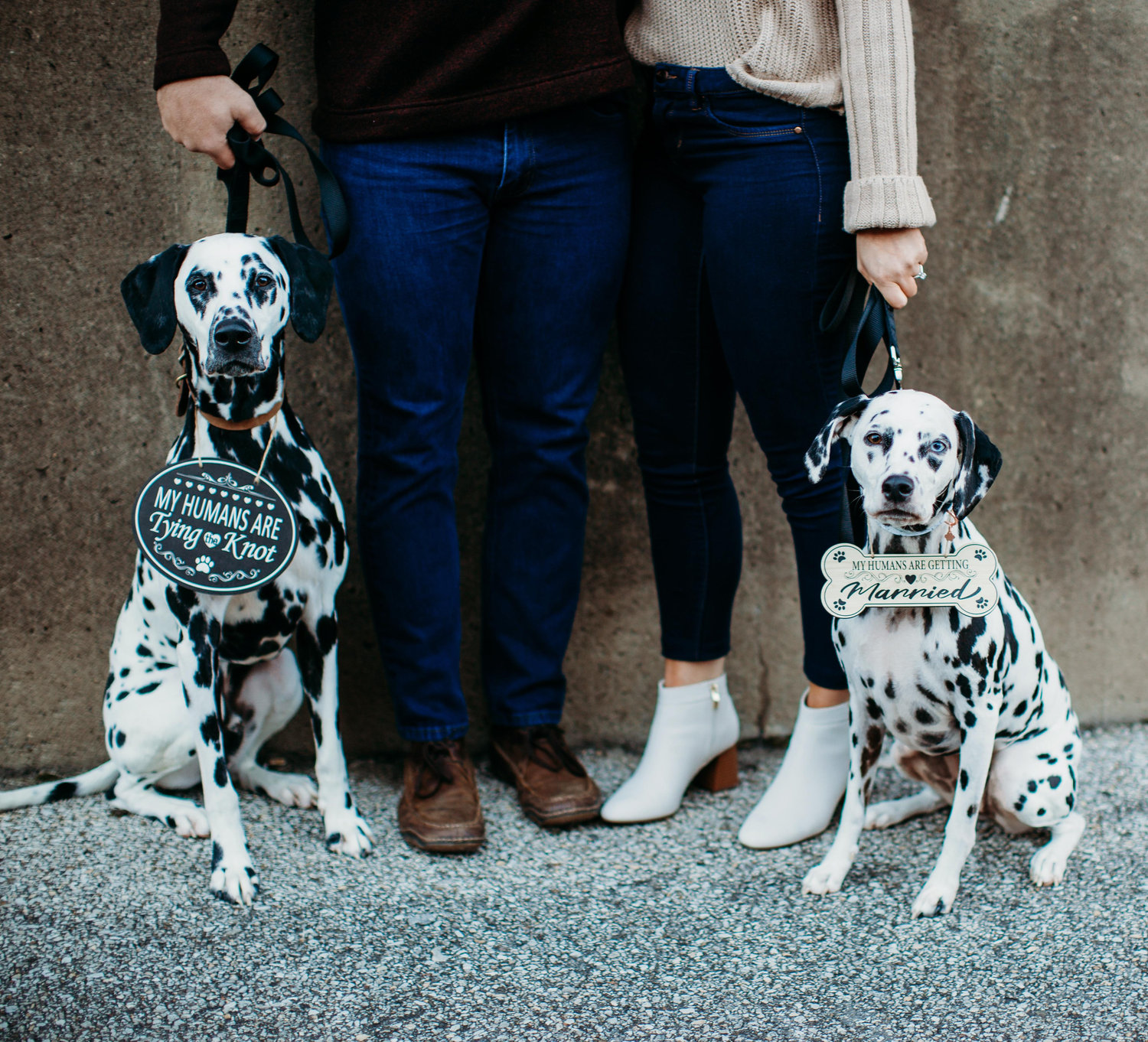 The Wedding Website of Tiffany Aeling and Adam Elkins