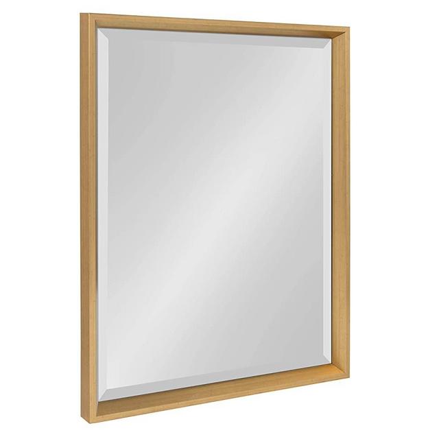Kate and Laurel Calter Framed Wall Mirror, 19.5x25.5, Gold