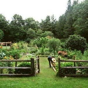 Materials and supplies for our vegetable garden