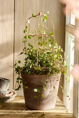 Domed Cylinder Iron Mini Trellis