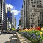 Magnificent Mile