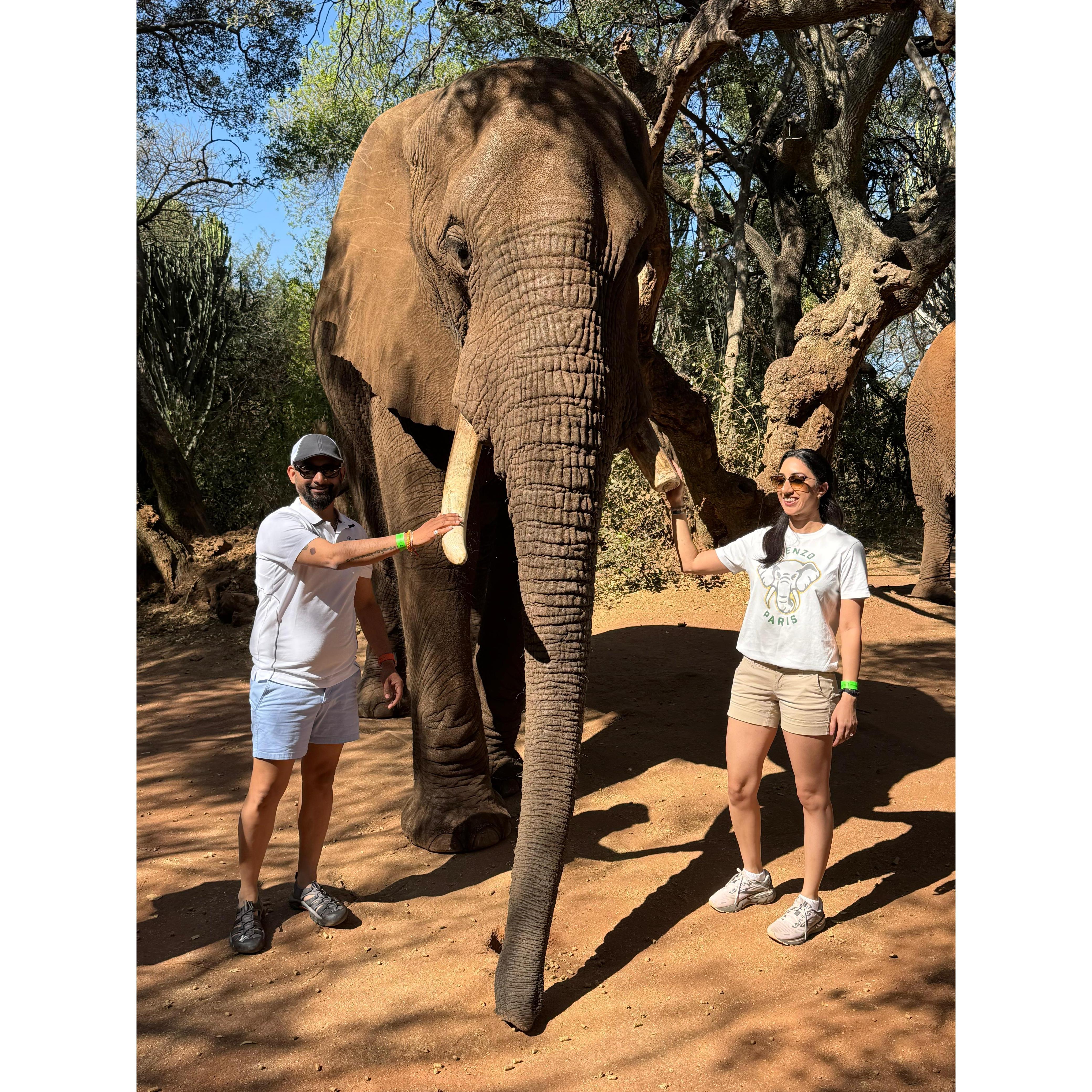 Ele Sanctuary South Africa