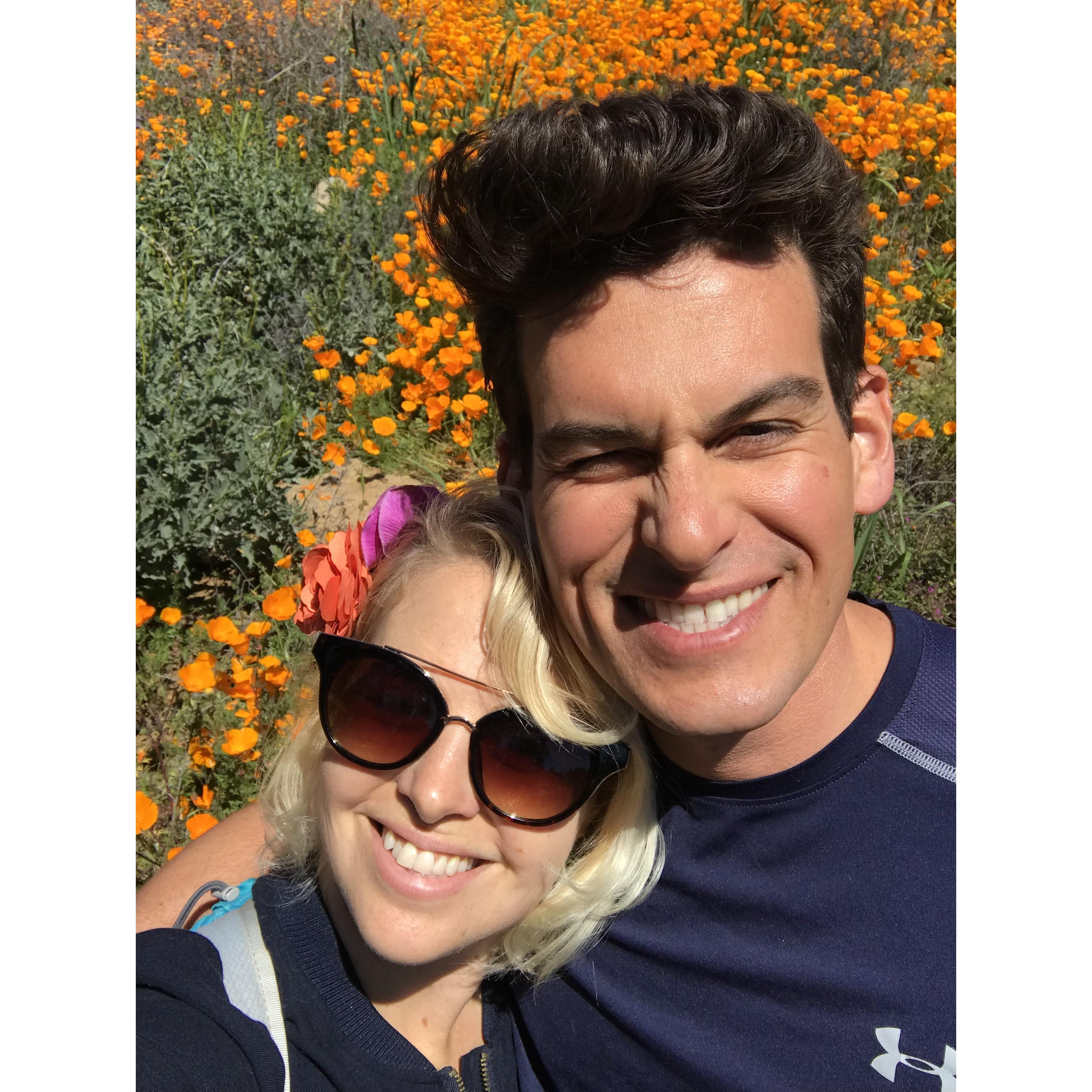 Super-bloom and sunshine around Walker Canyon