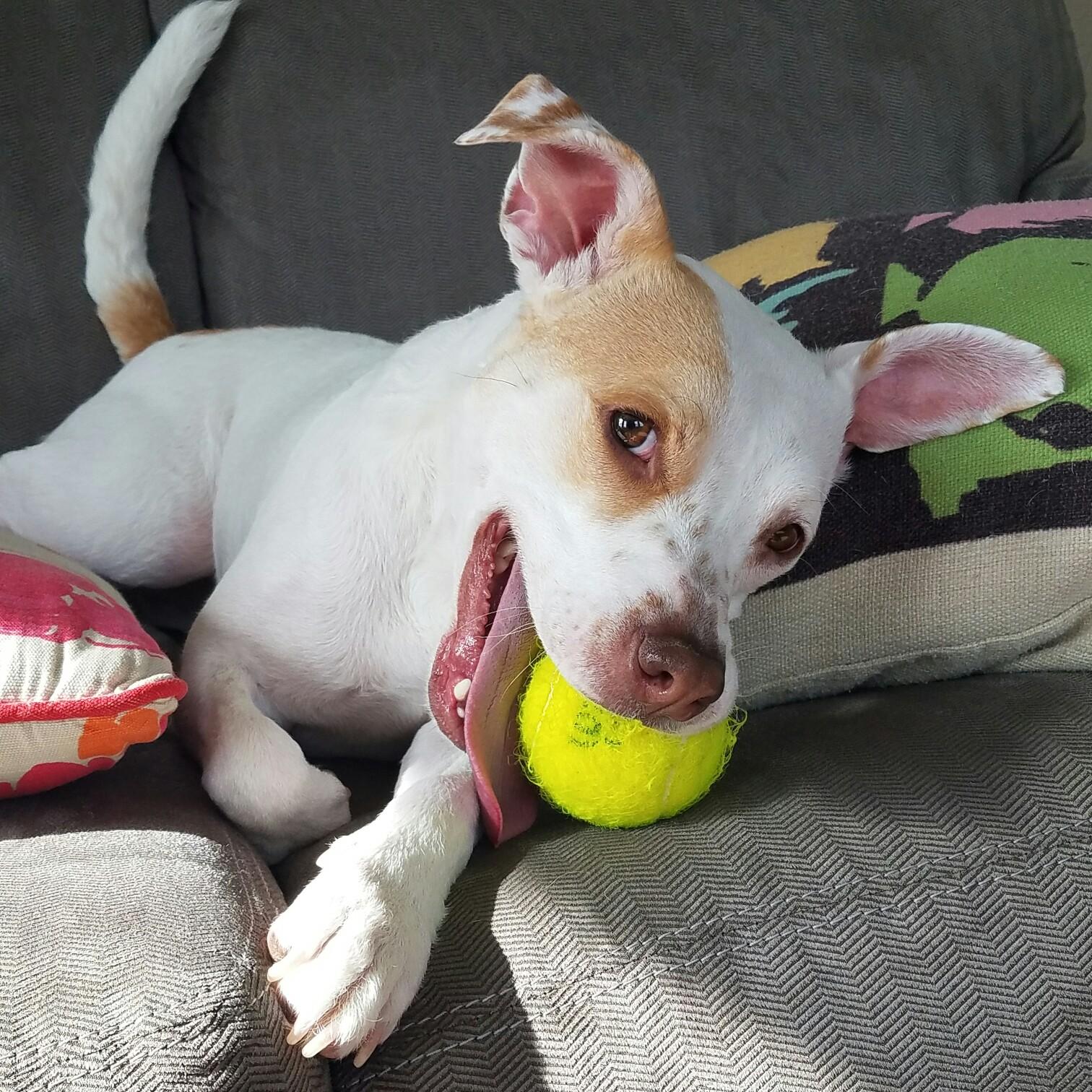 Our little monster, Greta