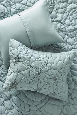Flora Shams, Set of 2