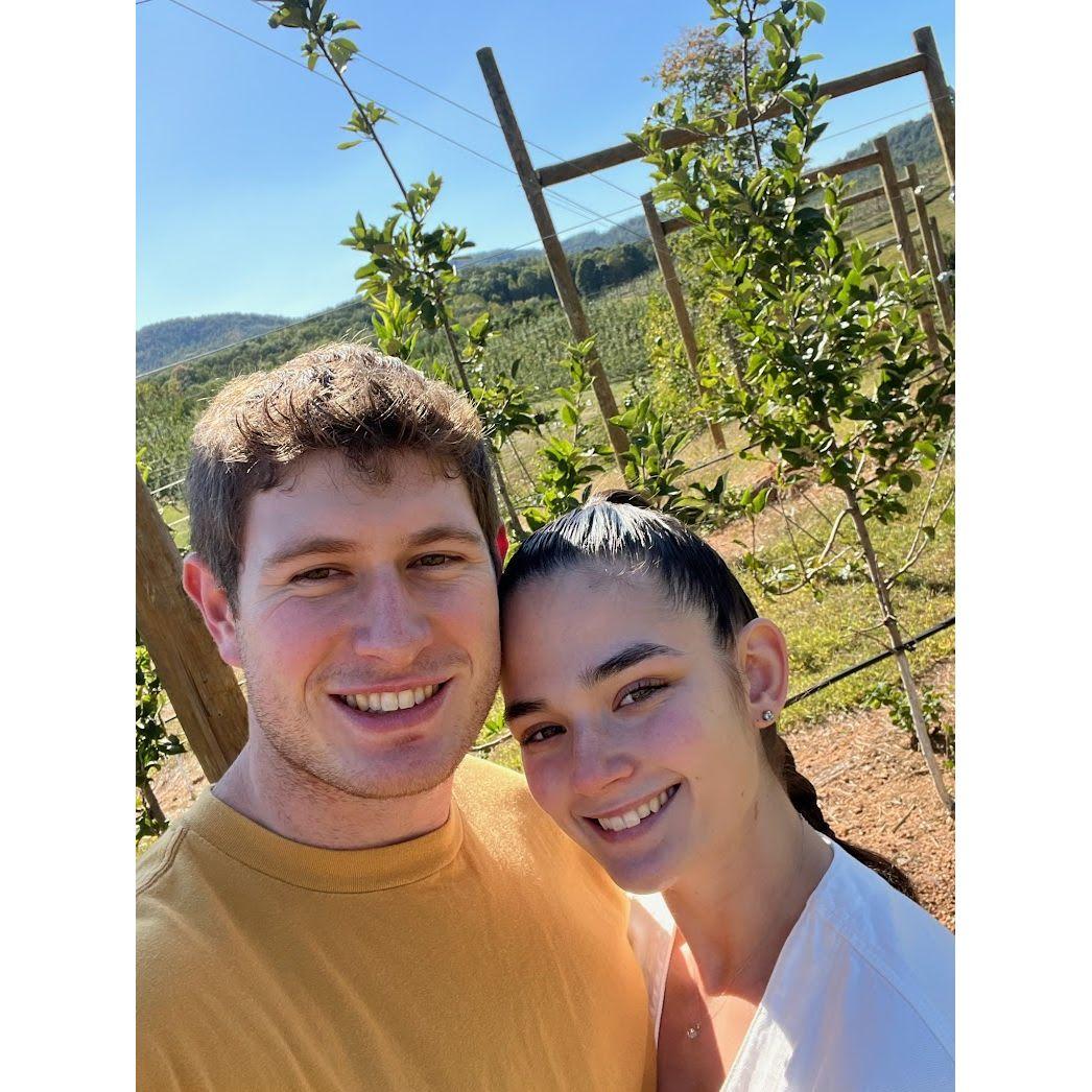 Annual apple picking, 4 years and counting